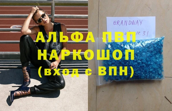 ПСИЛОЦИБИНОВЫЕ ГРИБЫ Медвежьегорск