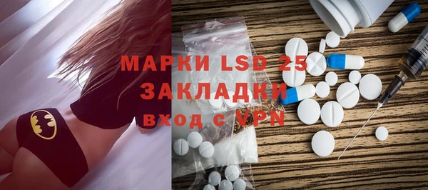 ПСИЛОЦИБИНОВЫЕ ГРИБЫ Медвежьегорск