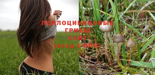 молекула духа Мегион